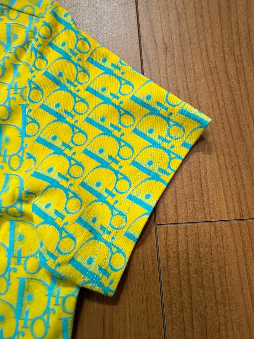 クリスチャンディオール Tシャツ　トロッターか柄　Vネック ガリアーノか期
