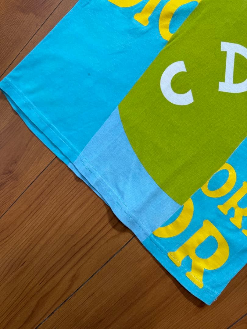 クリスチャンディオール Tシャツ　トロッターか柄　Vネック ガリアーノか期