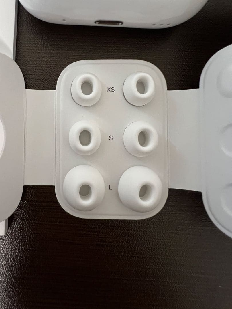 Apple AirPods Pro2（第2世代）Lightning充電タイプ