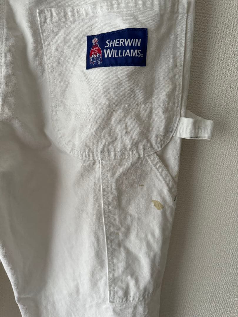 DICKIESディッキーズxシャーウィンウィリアムスペイント加工ペインターパンツ