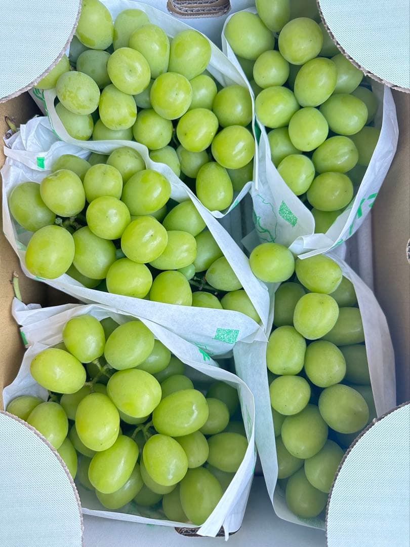 山梨県/長野県/山形県産　シャインマスカット　葡萄　ぶとう　ブトウ　箱込み5kg