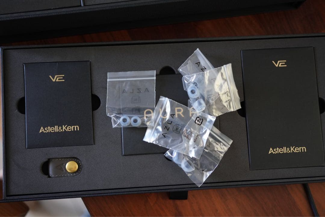 Astell&Kern Vision Ears Aura 美品