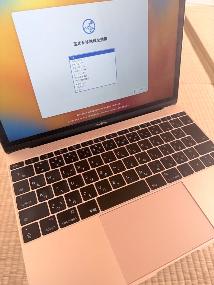 MacBook Retina 2017年 12inch ジャンク