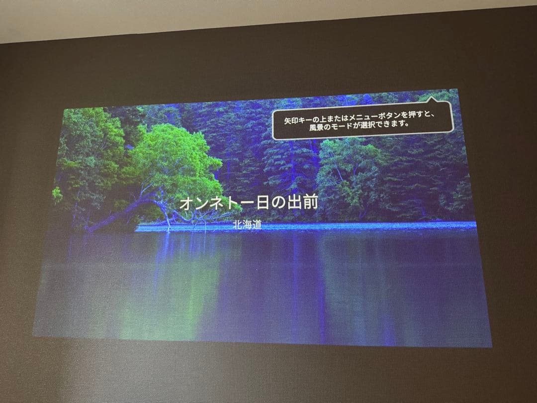 単*茎様 【ドット抜けなし】popIn Aladdin 2