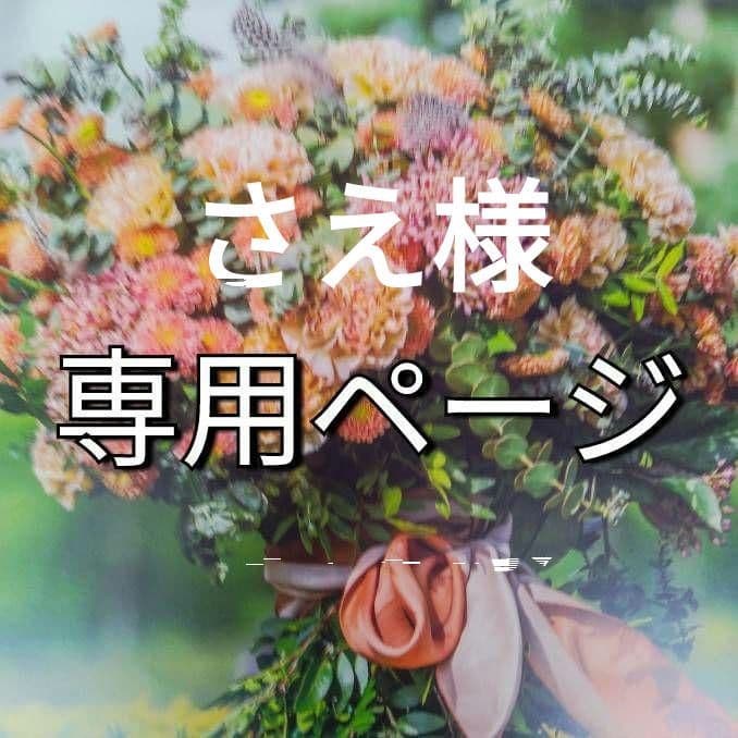 さえ（感謝）/3