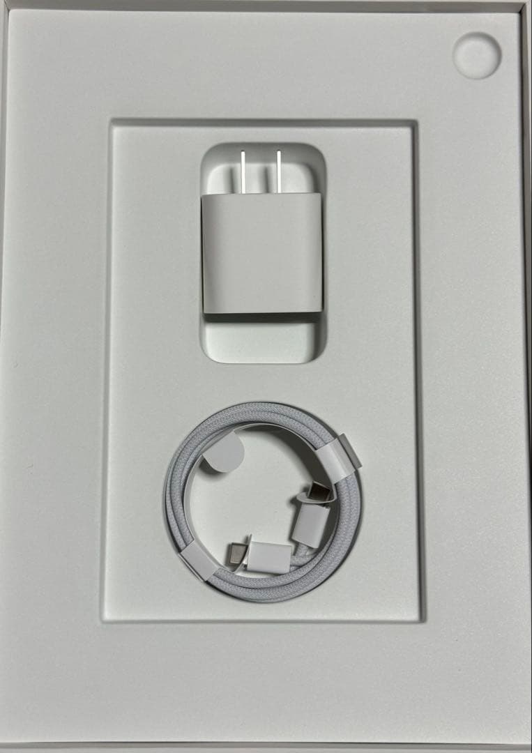 iPad 10世代 シルバー