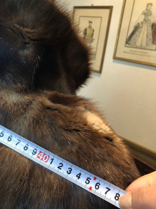 ミンク　白いライン入りコート　毛皮