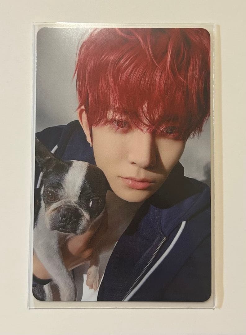 ENHYPEN アンケート　トレカ　ヒスン