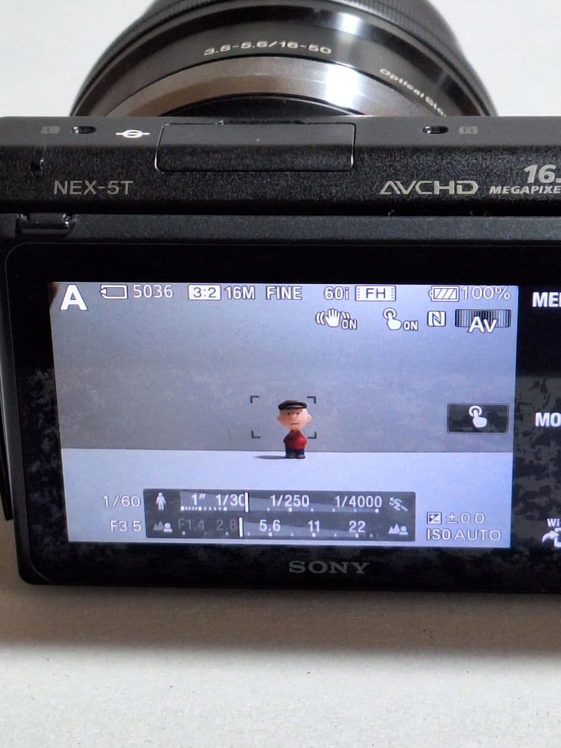 デジタルカメラ SONY NEX-5T