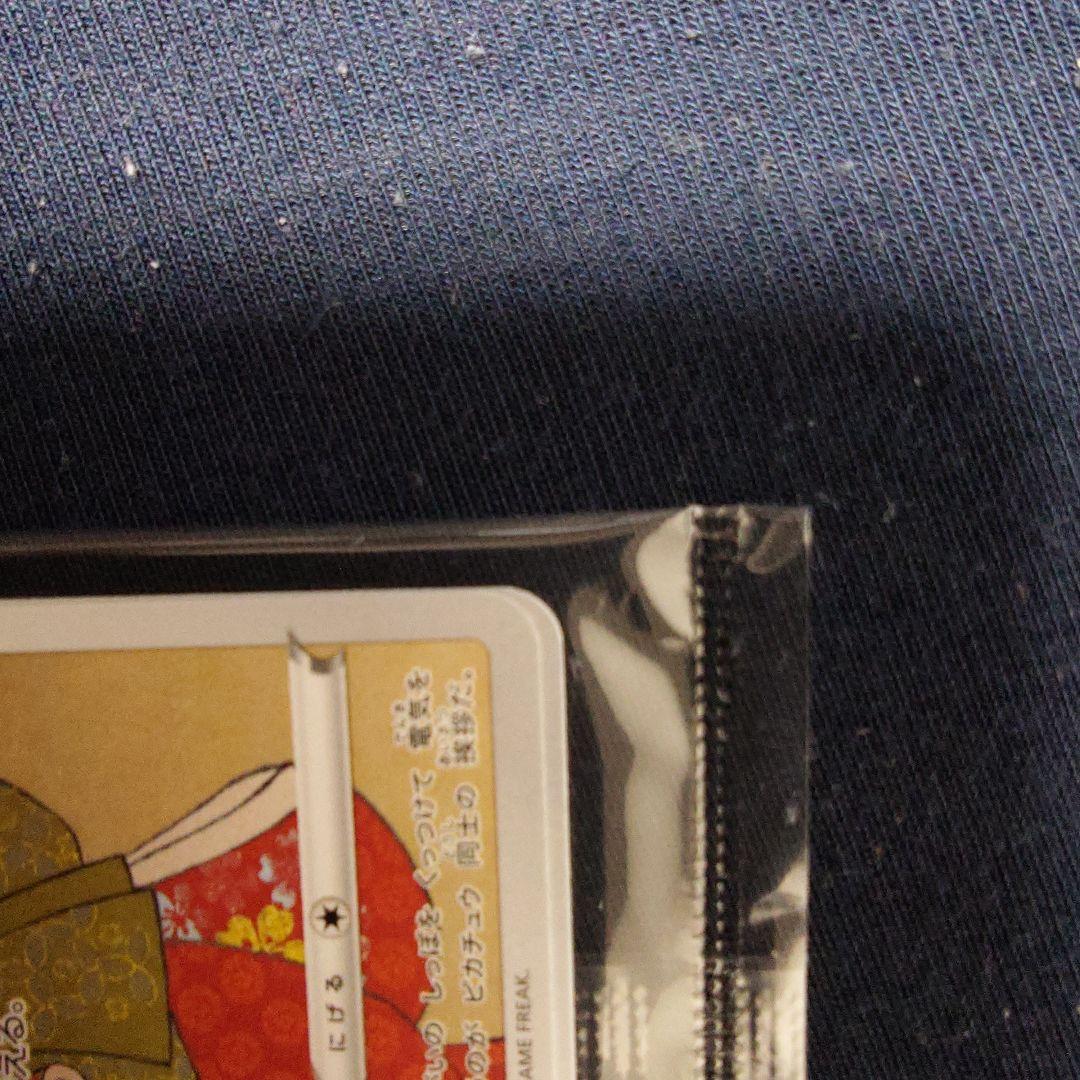 ポケモン切手BOX～ポケモンカードゲーム 見返り美人・月に雁セット～