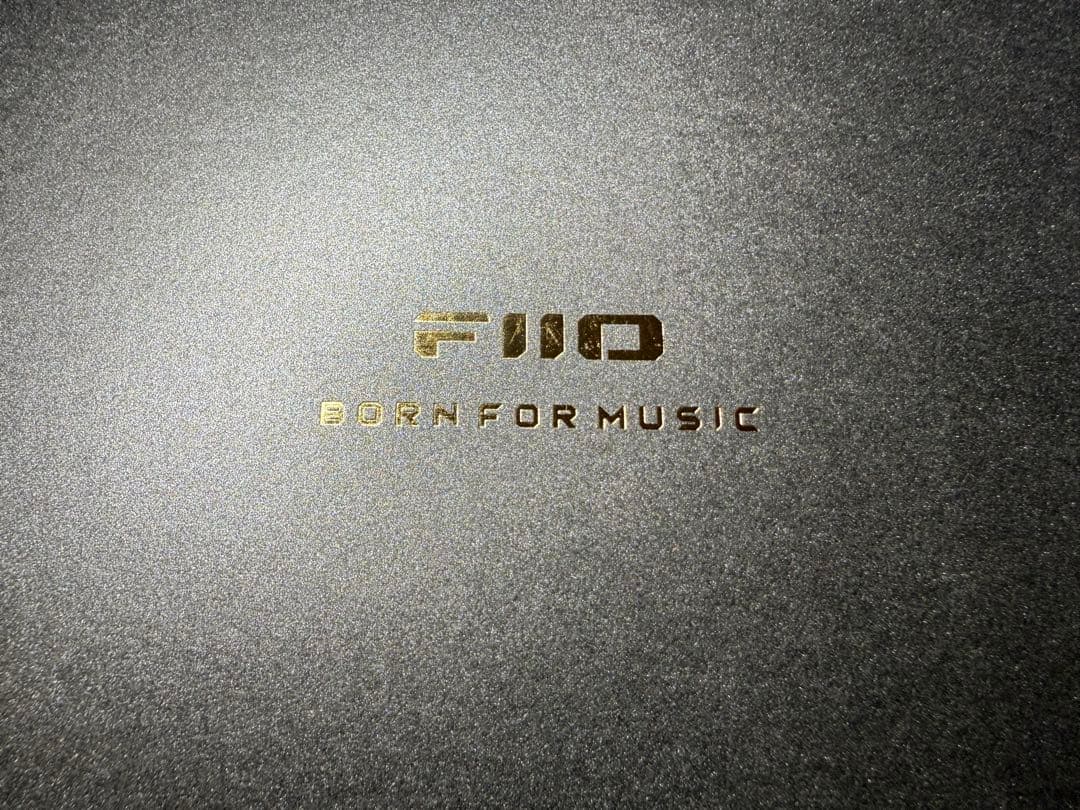 1/5まで出品 FiiO FX17 (eSiq ダブルコーティング済)