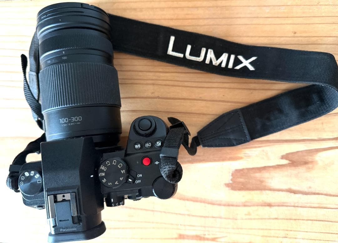 パナソニック 一眼レフカメラ LUMIX DC-G9M2 G9PROII ボディ