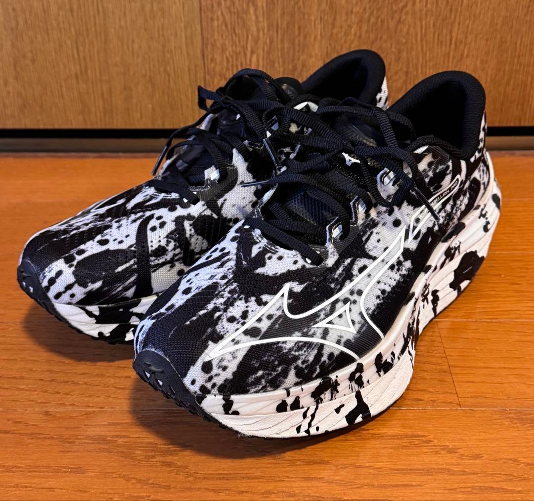 ミズノ ウエーブリベリオンプロ 書き初めカラー