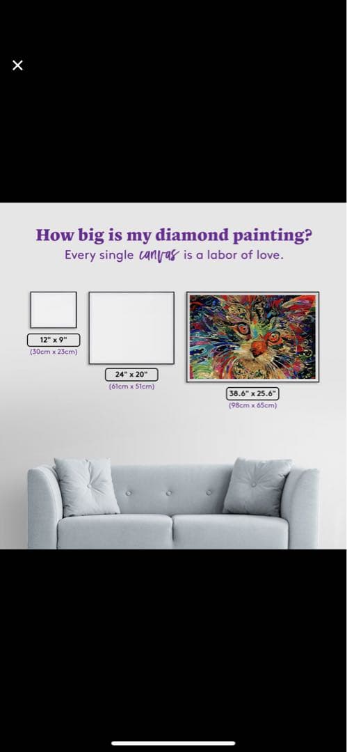 その他 Psychedelic Maine Coon Cat DAC