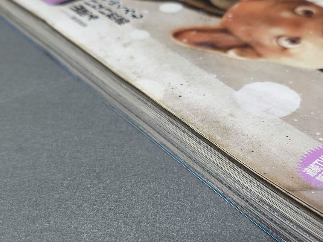 ビッグコミックオリジナル2019年2月20日4号『忘れ形見』読切/伊藤潤二