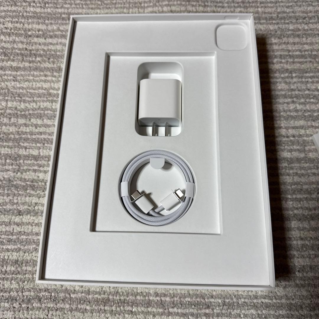 iPad Pro 第４世代11インチ本体 265GB充電器付き