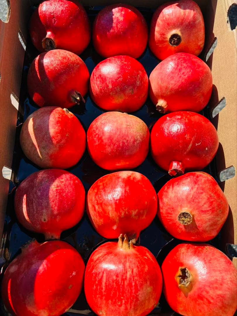 新鮮 ザクロ 一箱