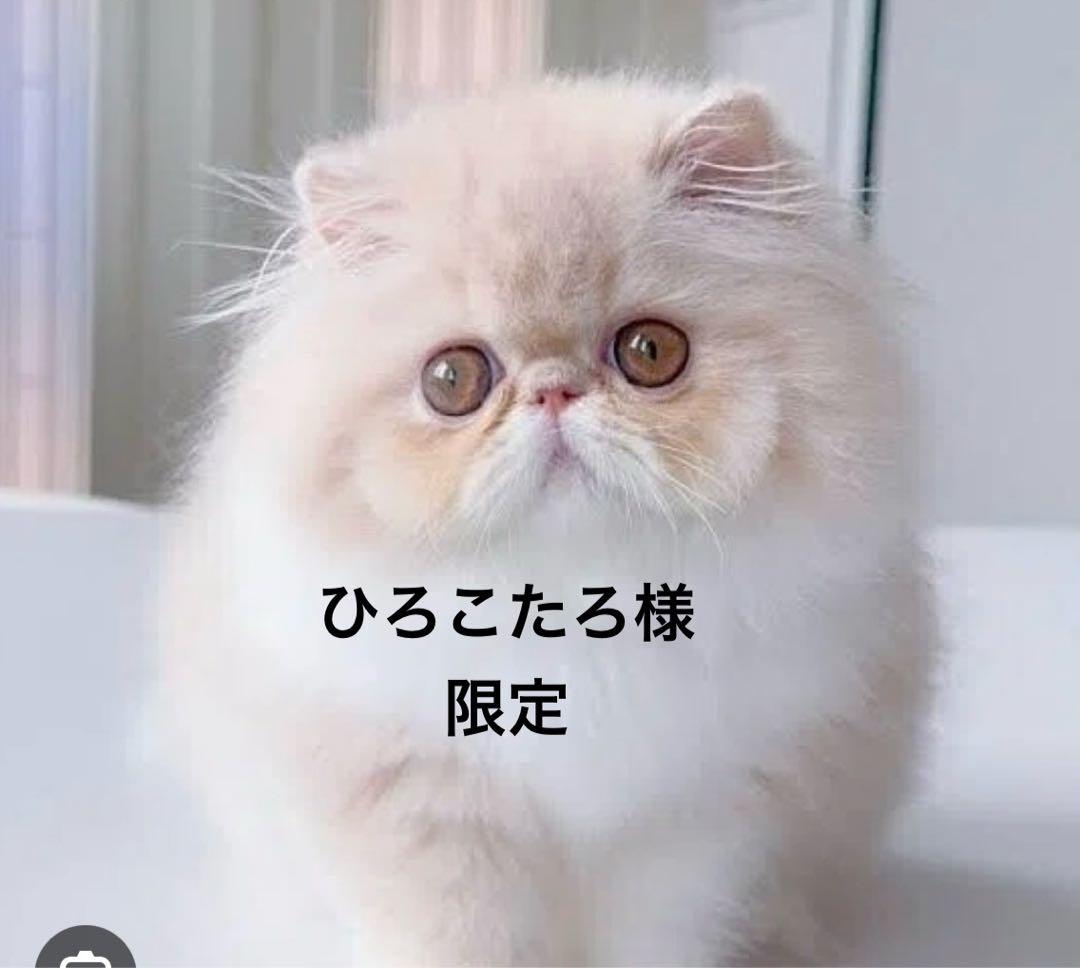 無印　ベット下収納　（引き取り限定）