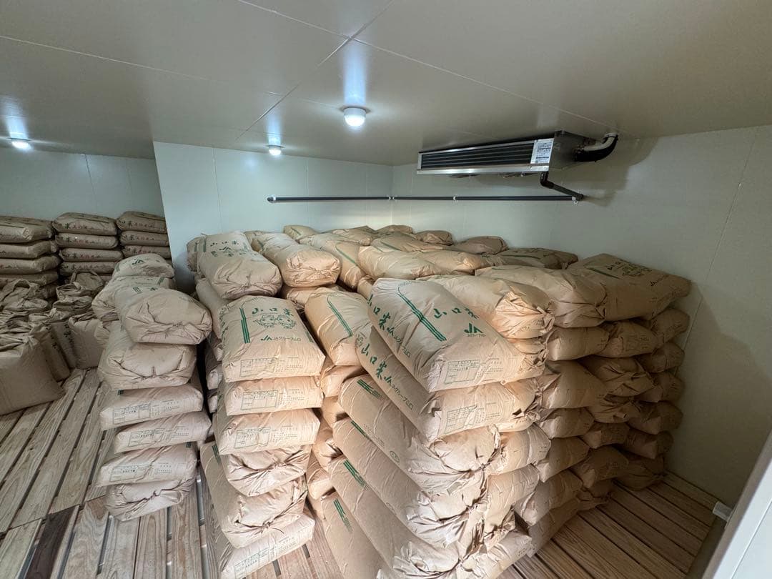 令和7年度産　山口県産（新米）10kg 恋の予感　白米/玄米　農家直送　送料無料