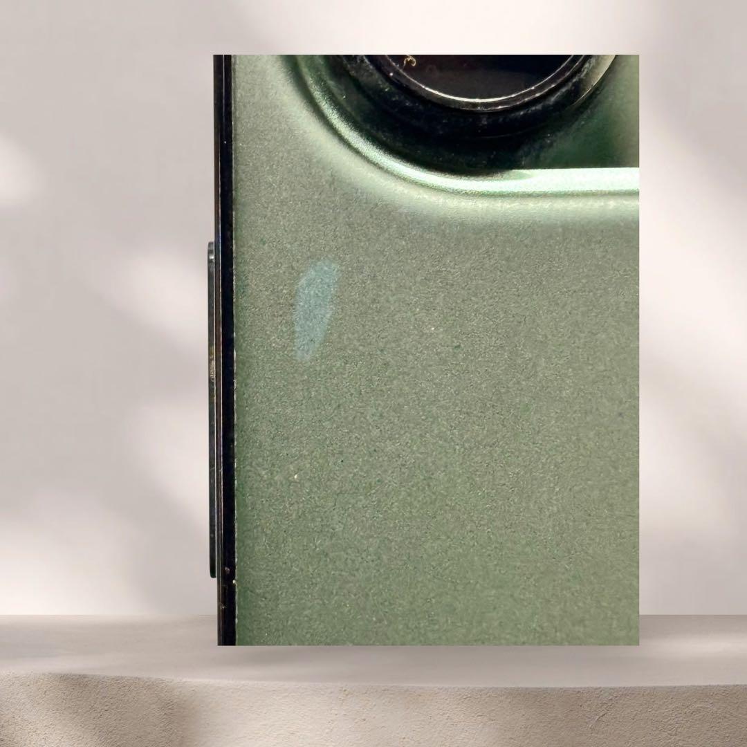 iPhone 13 Pro Max 256GB アルパイングリーン