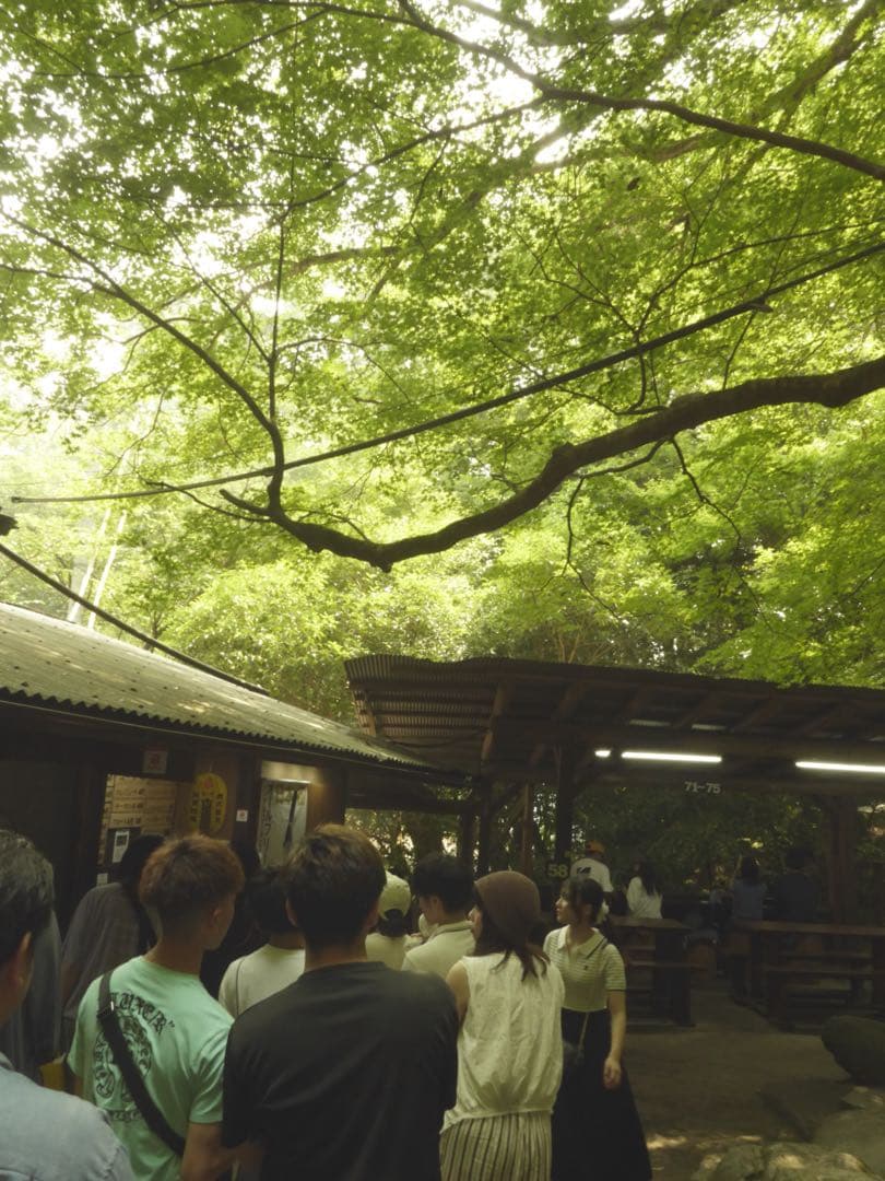 Leica C typ112 ダークレッド ライカ コンパクトデジタルカメラ