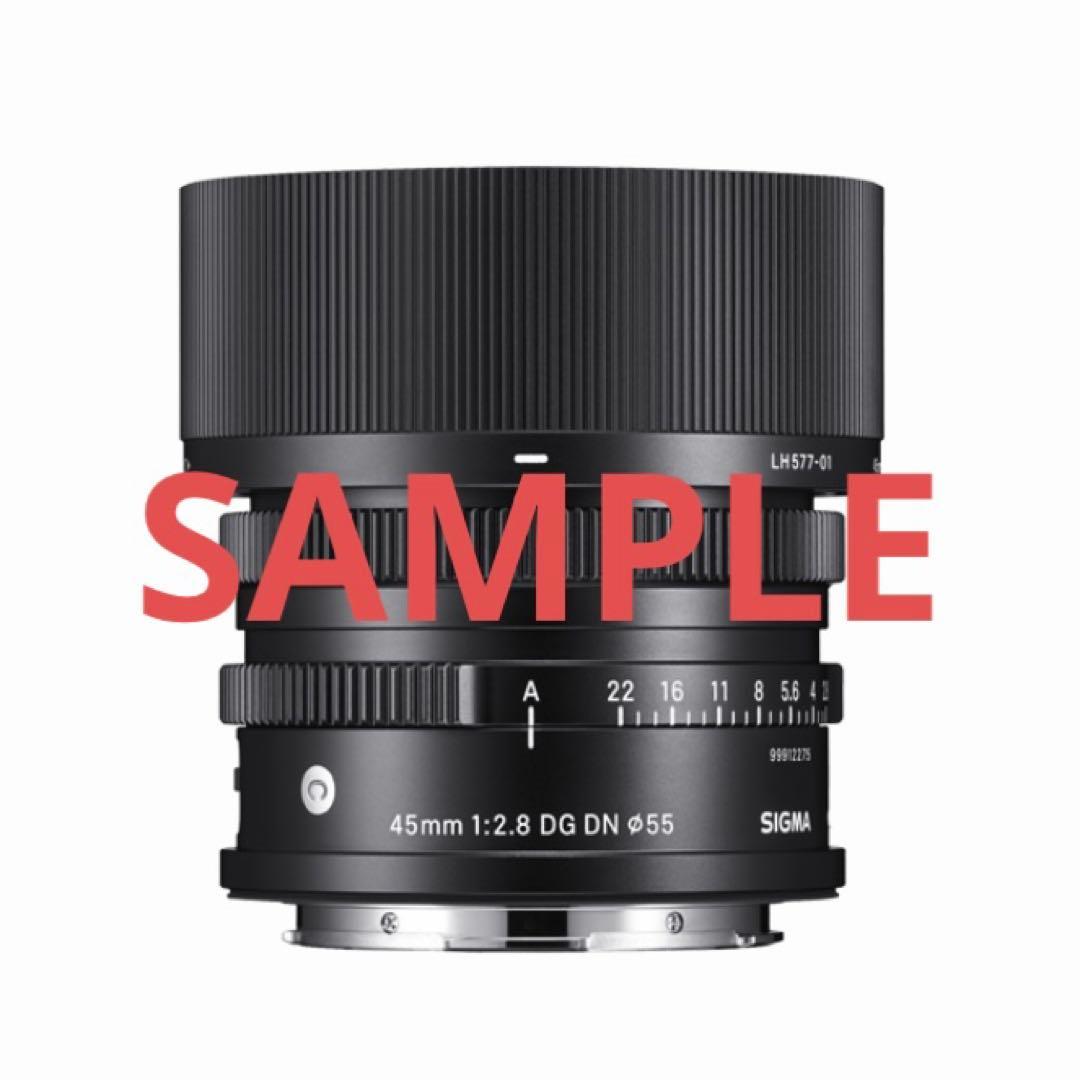 SIGMA(シグマ) 45mm F2.8 DG DN Contemporary