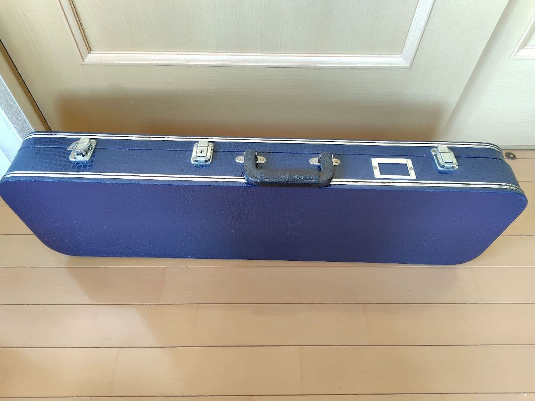 三線本体 人工皮革 蛇皮模様 ハードケース付き