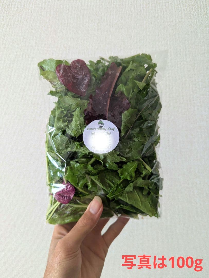 kota’s Baby Leaf（群馬県産　ベビーリーフ） コメント用