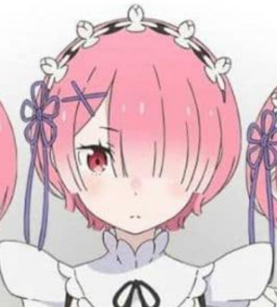 Y様 コスプレ ウィッグ オーダー 専用ページ