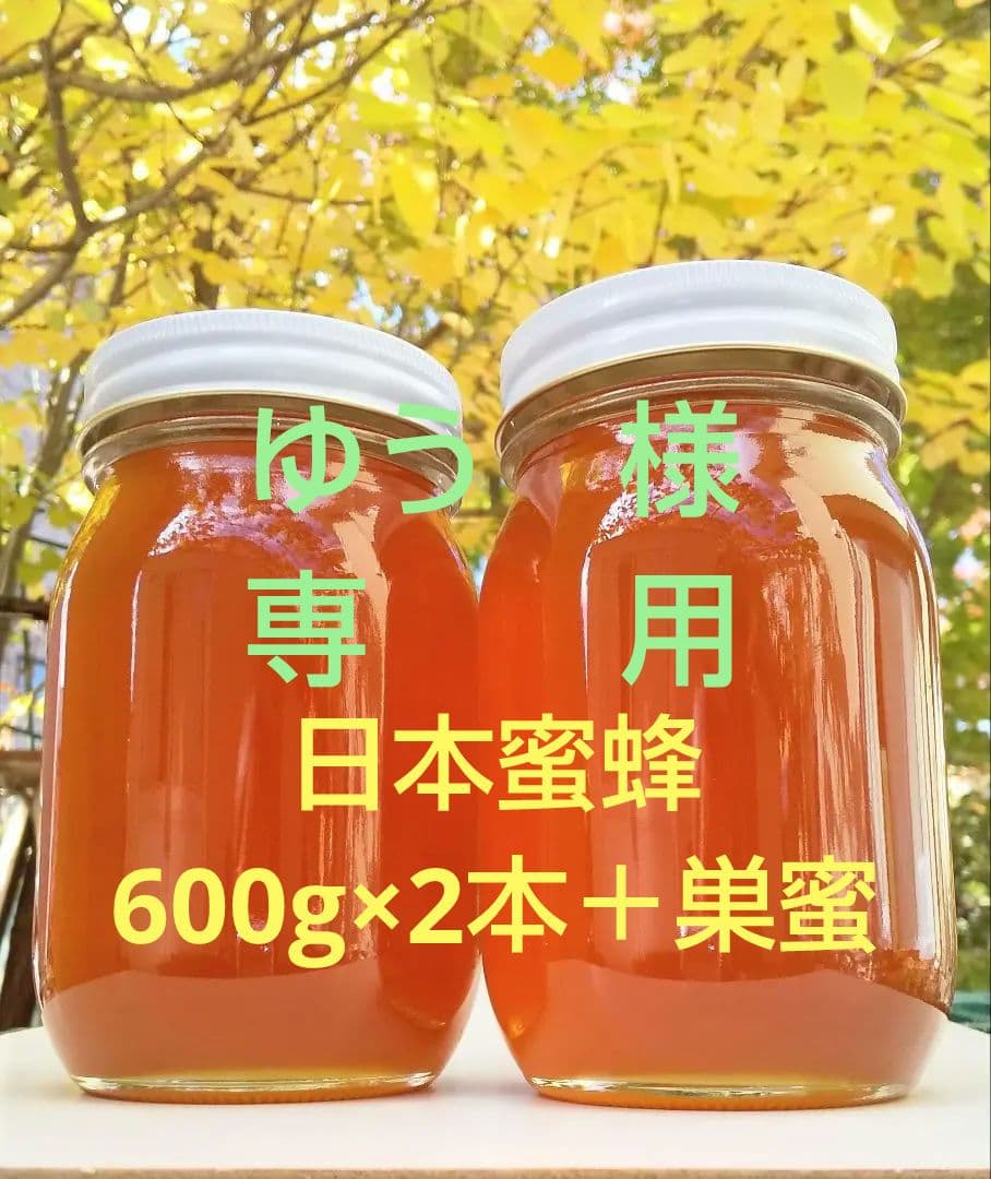 日本蜜蜂採りたて生蜂蜜(生巣蜜)368g＋蜂蜜600g×2本#6　　　　宮城県産