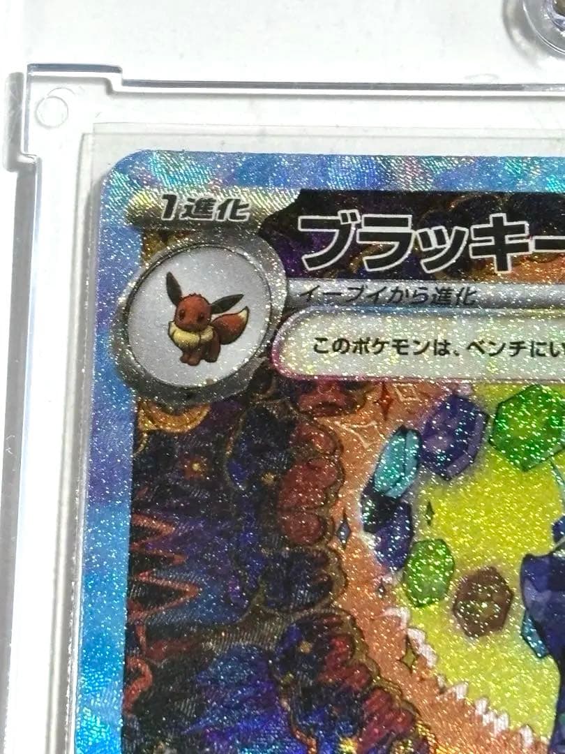 ポケモンカードゲーム テラスタルフェス ブラッキーex SAR