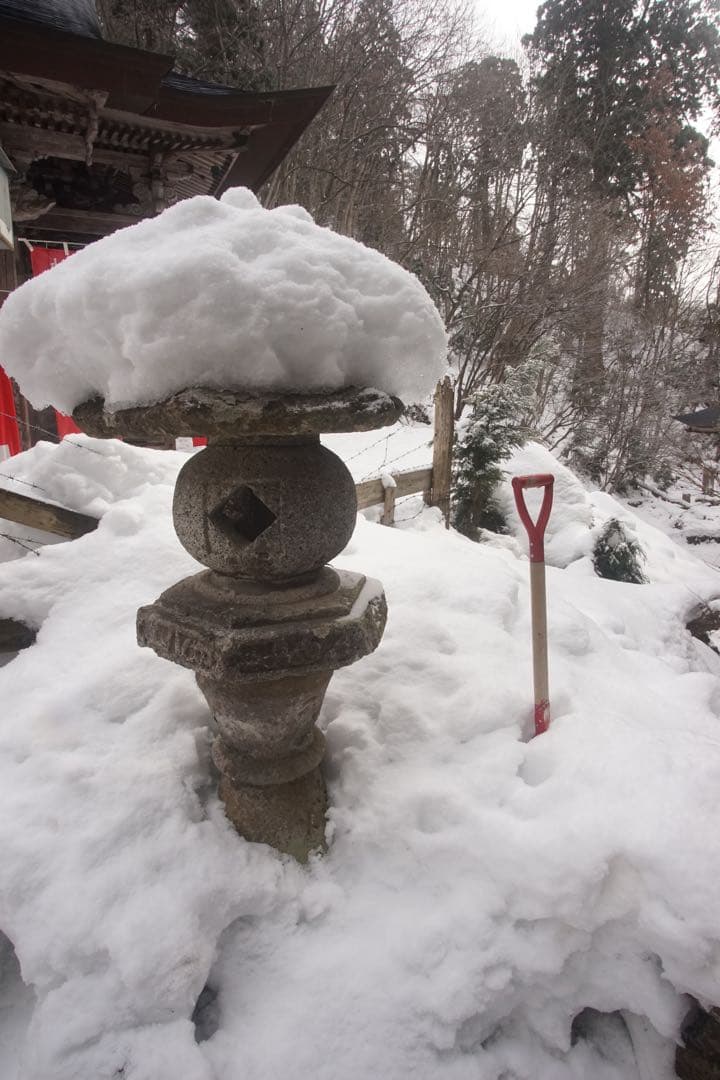 作例付き　TOKINA 20-35mm F3.5-4.5 AF 管mpr