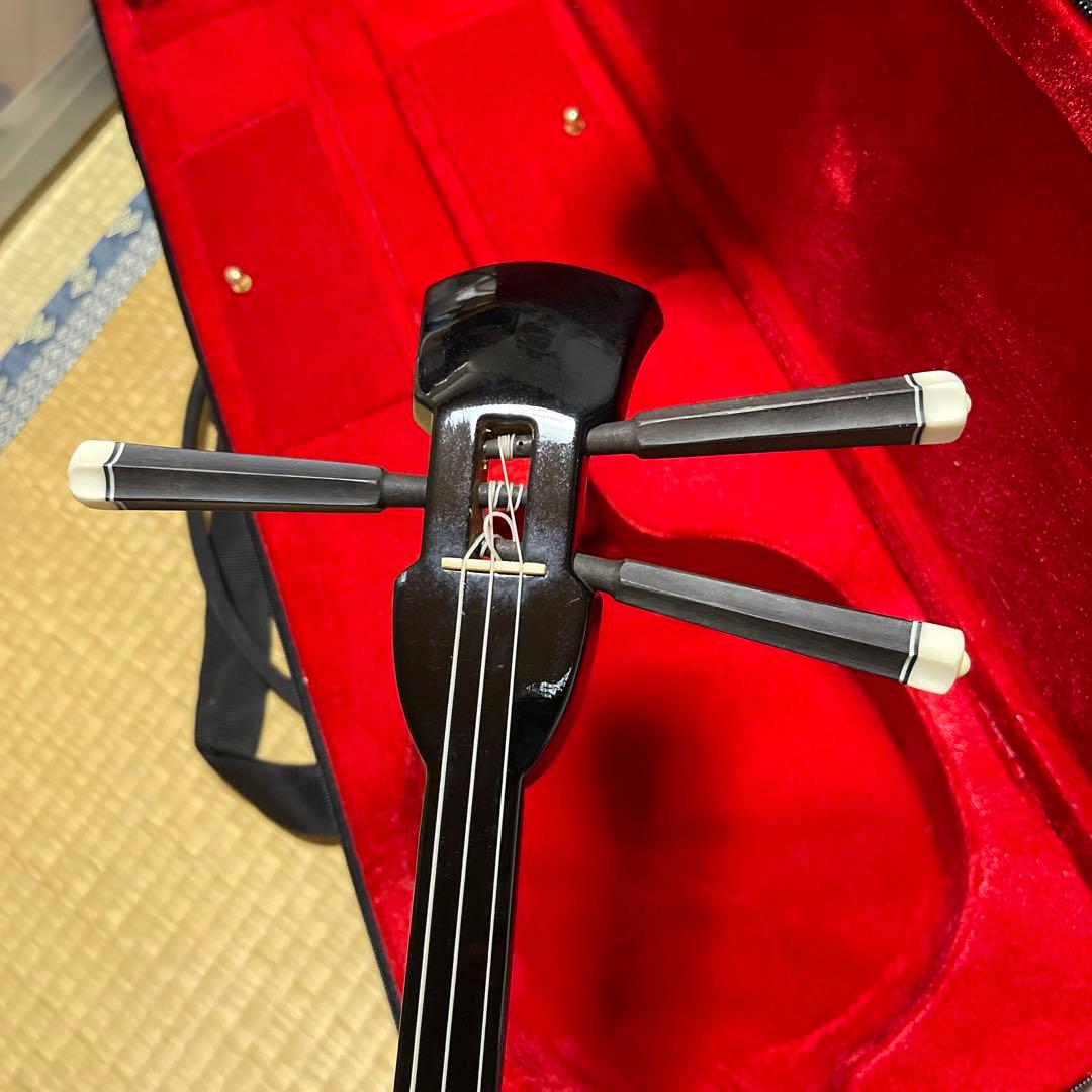 蛇皮沖縄三線　ハードケース付き