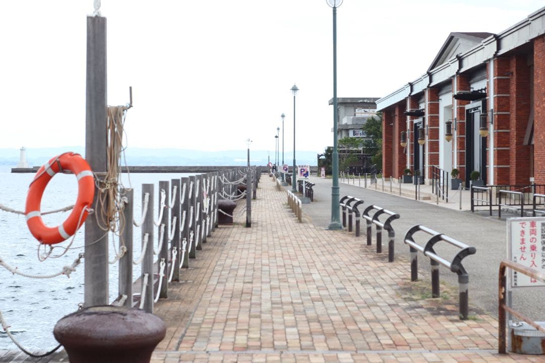 専用★ OLYMPUS OM-2N + 標準レンズ 50mm