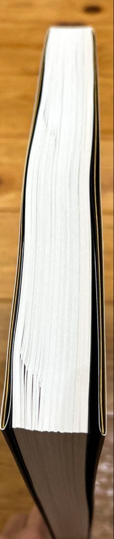 あ*ぱ様 ホケノ山古墳の研究 奈良県立橿原考古学研究所研究成果第10冊