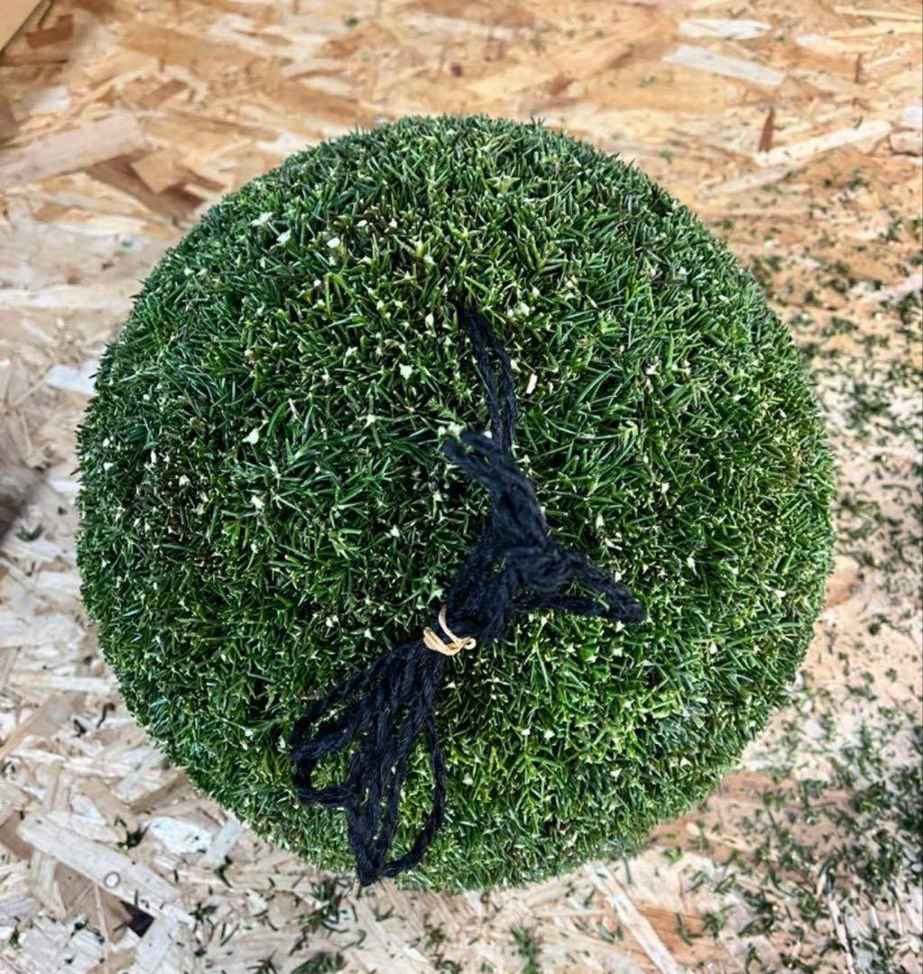 杉玉　約50センチ‼️お客様ご注文品♪