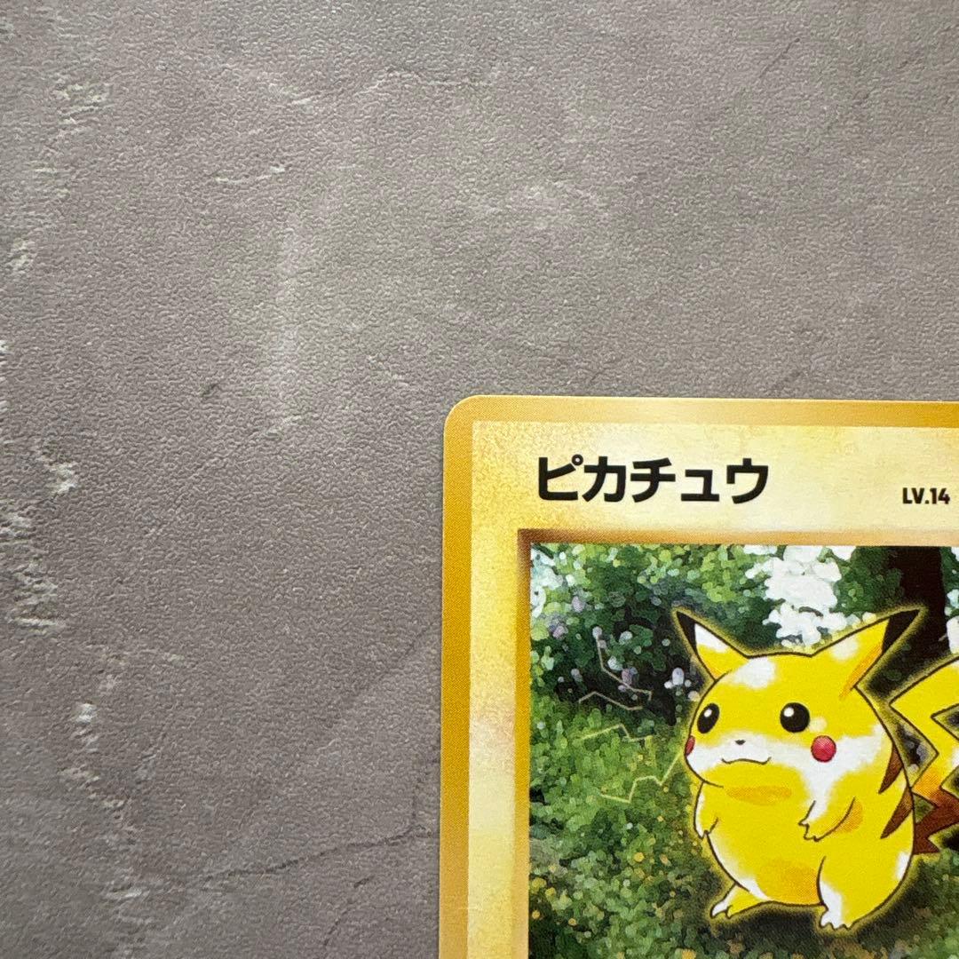 【旧裏】ピカチュウ 2枚セット（スパーク・かじる）コレクション品