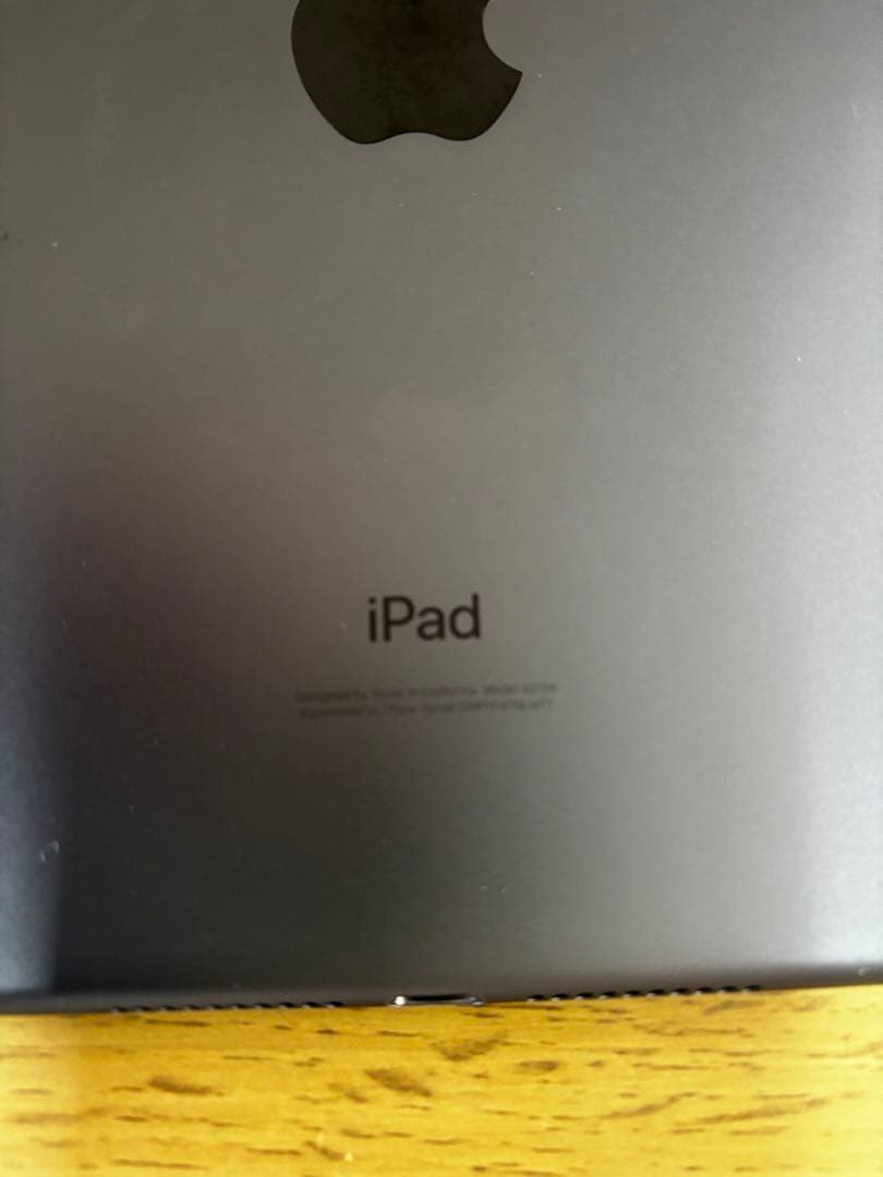 iPad mini 第五世代　64GB SIMフリー　Wi-Fi セルラー