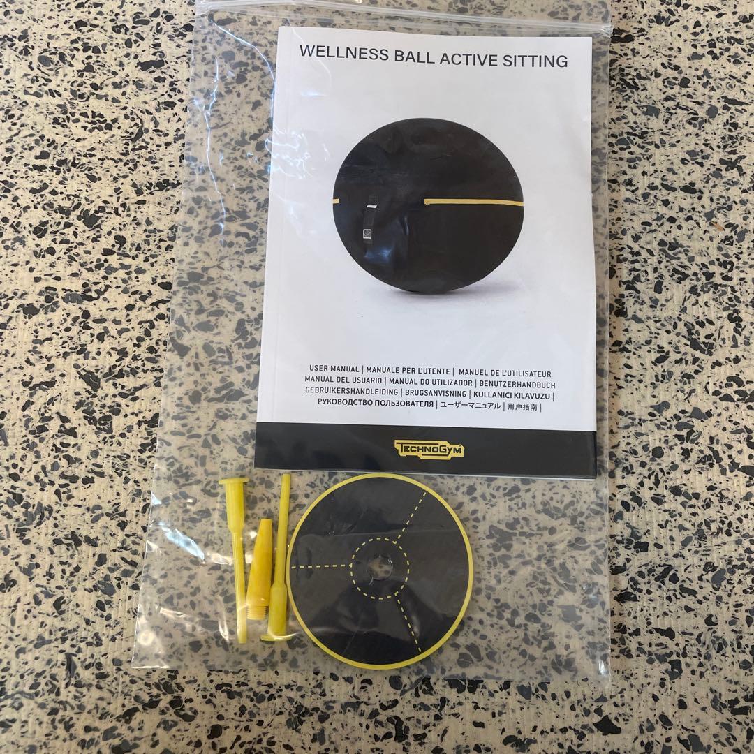 テクノジム Technogym バランスボールチェア（55cm） フィットネス