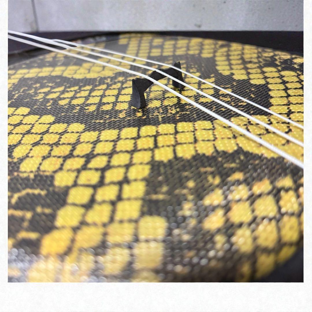 初心者安心✨沖縄三線 人工皮 入門フルセット 美品 和楽器 三線 美品✨