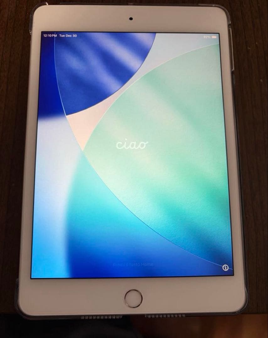 最終値下iPadmini 7.9インチ 第5世代 256GB セルラー シルバー