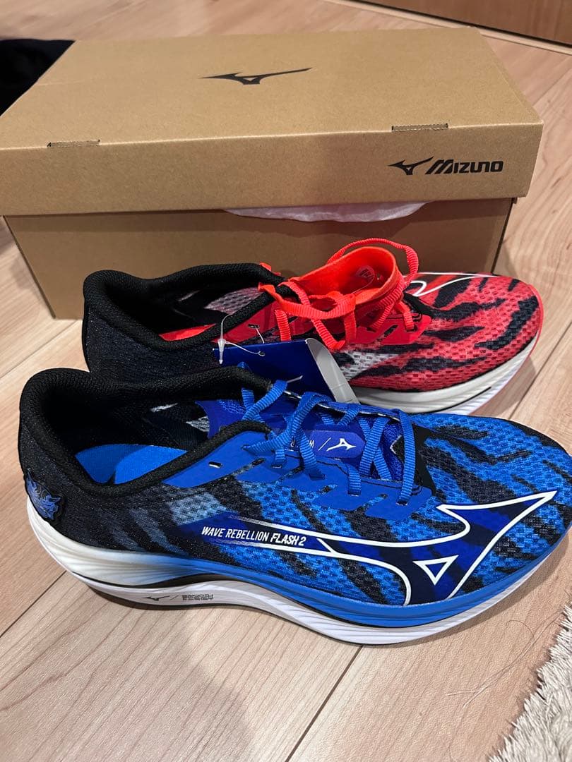 Mizuno ウェーブリベリオンフラッシュ2 25.5cm