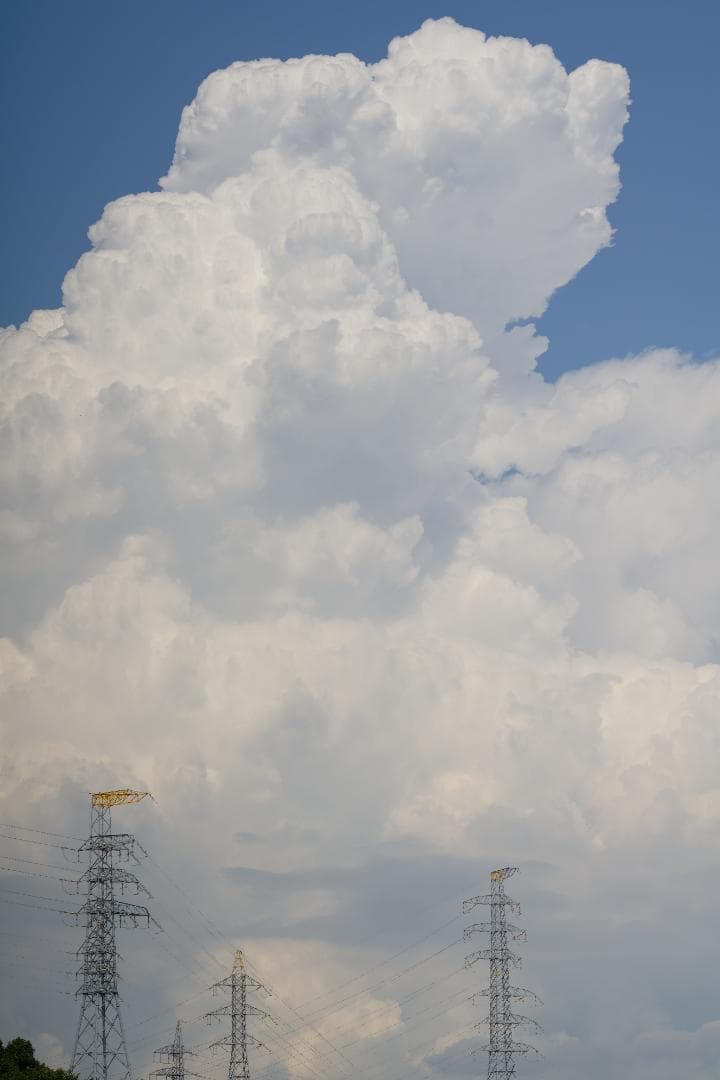 光学⚪︎ PENTAX TAKUMAR 105mm F2.4