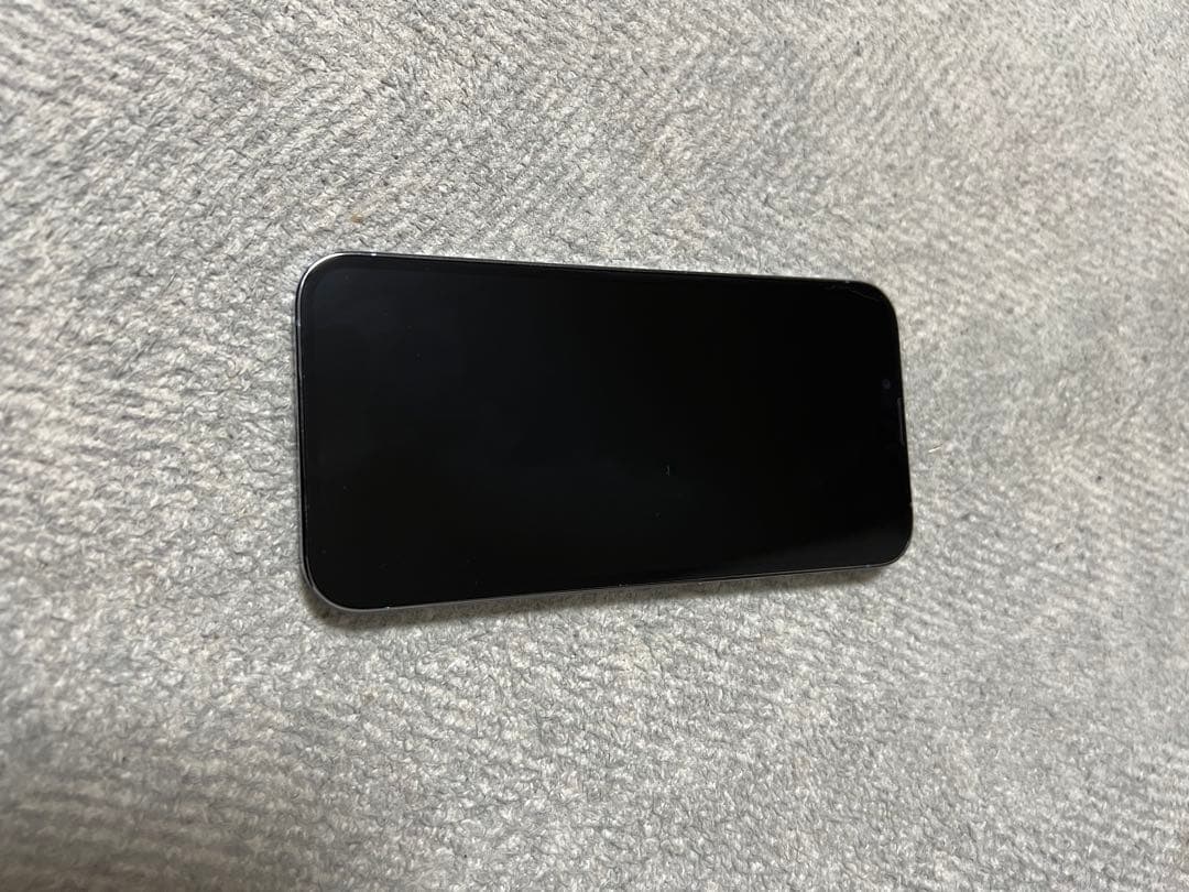 iPhone 13 Pro 256G本体画面不良