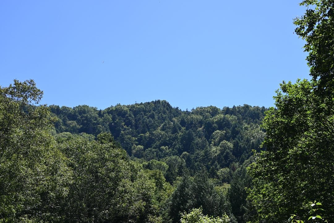 【Nikon Zマウント】NIKKOR Z 24-70mm f/4 S 美品