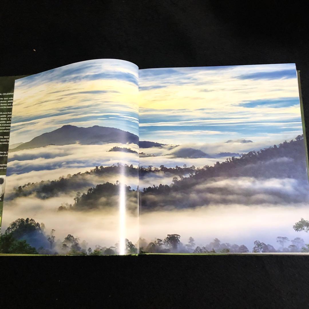 ボルネオ島 野生動物 写真集「Borneo's Wildlife」