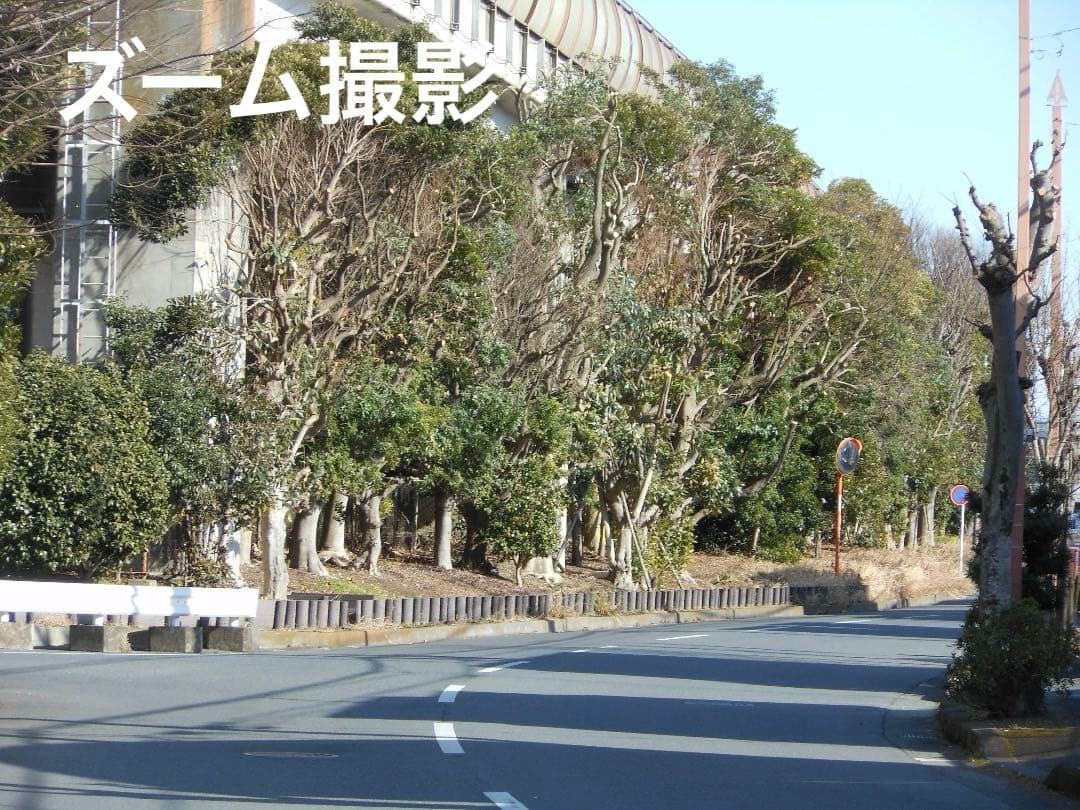 追加あり⭕️【動作確認済】Nikon COOLPIX S6100 ピンク