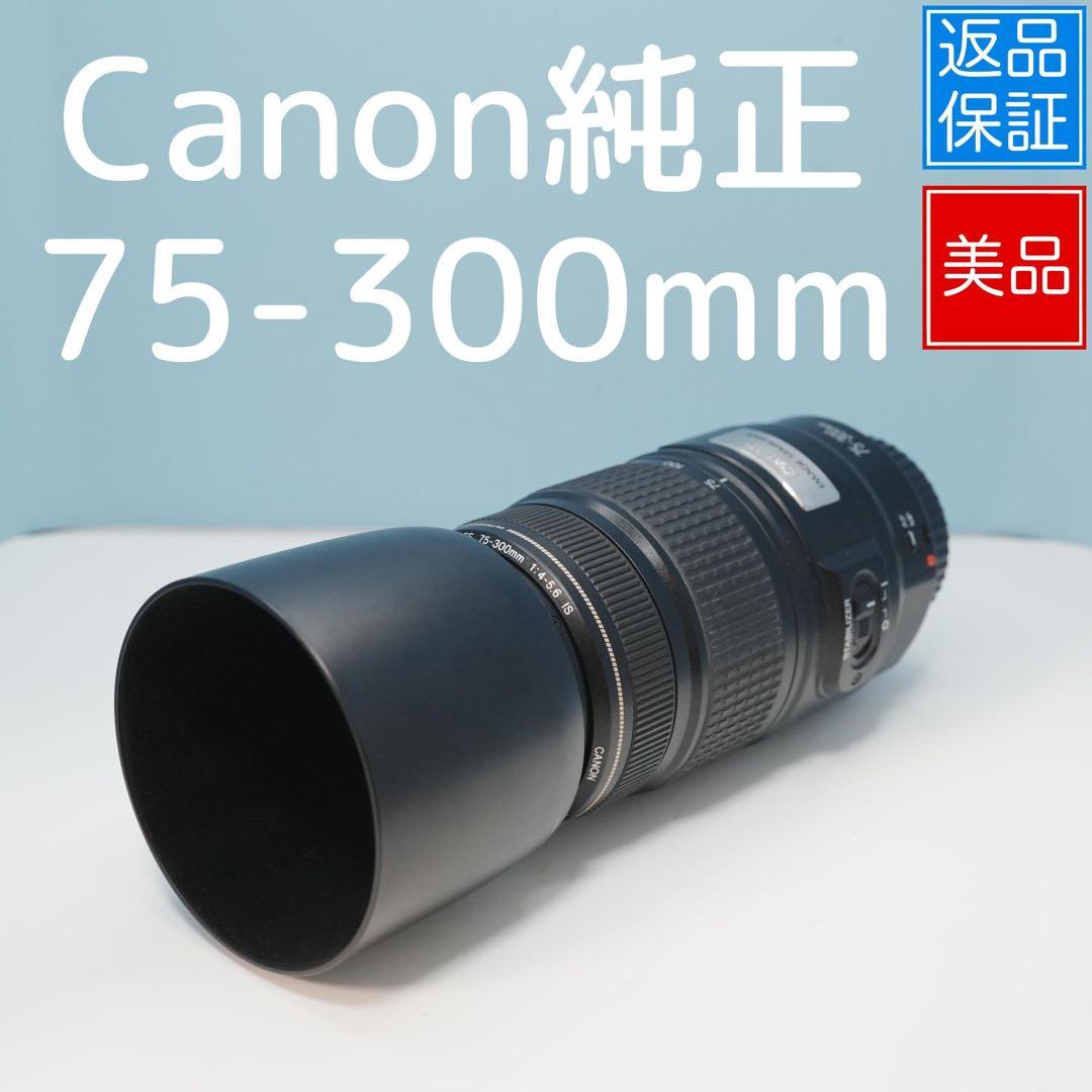 Canon純正 75-300mm 標準レンズ 美品 a4907