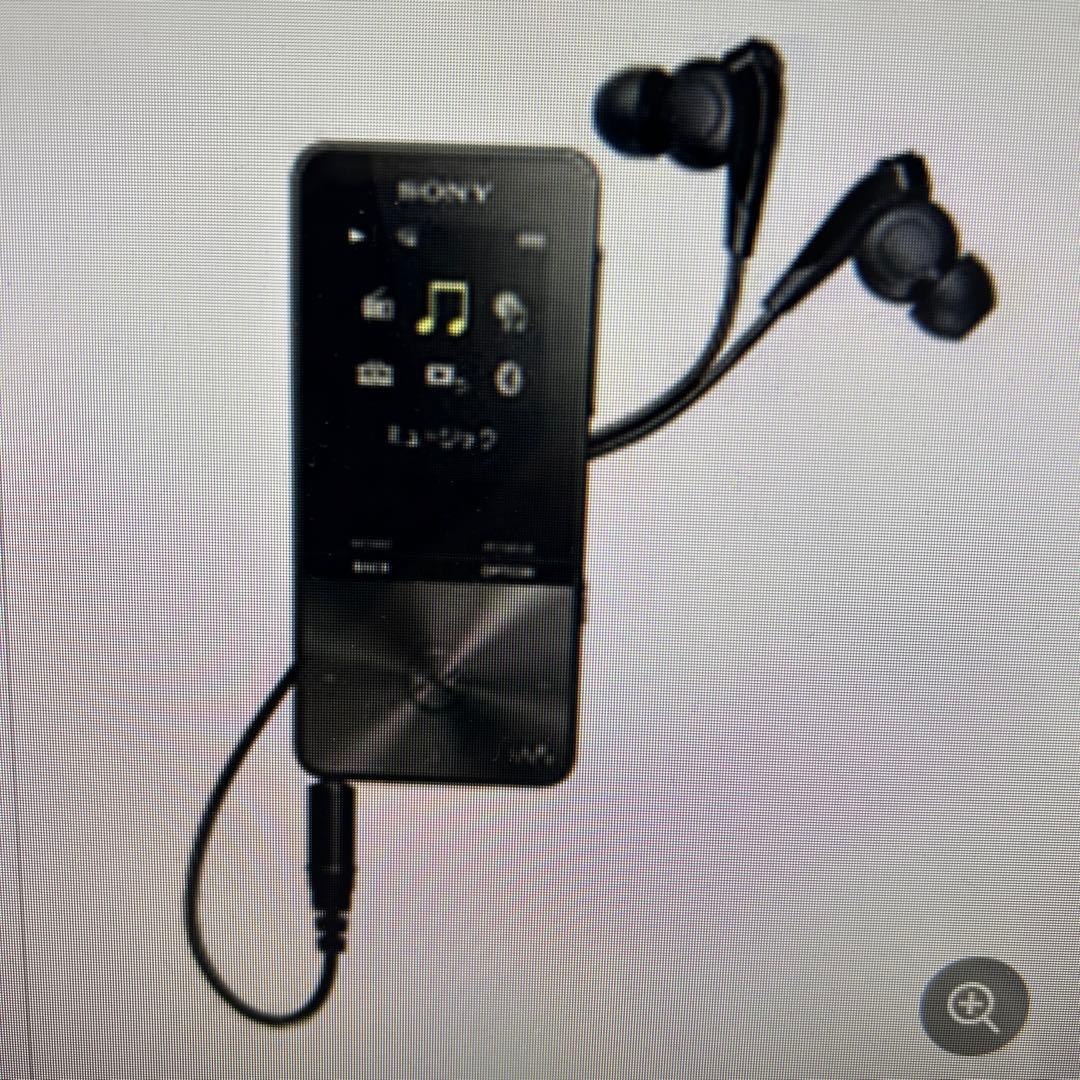 SONY ウォークマン　NW-S313 4GB