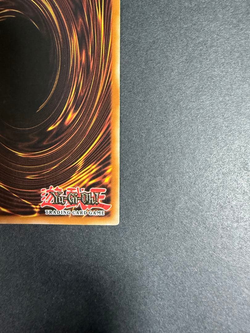 ライオウ　レリーフ　EUフランス